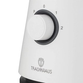 قیمت و خرید مخلوط کن ترام هاوس مدل TB-44060 توان 600 وات